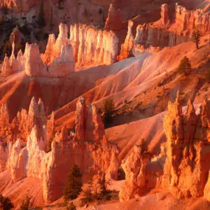 Bryce Canyon - natuur