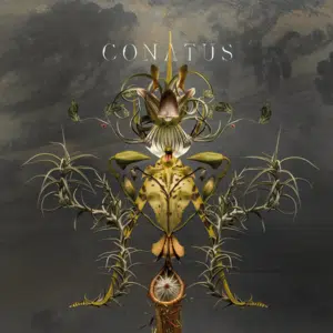 Joep Beving Conatus