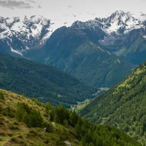Pastorale - natuur - 2