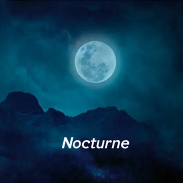 Playlist Nocturne