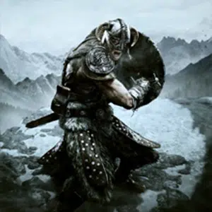 Skyrim videogame