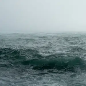 zee grijs mist - natuur