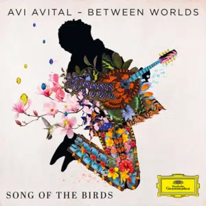 avi avital birds